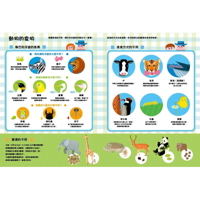 原來動物是這樣子啊!兒童繪本內容