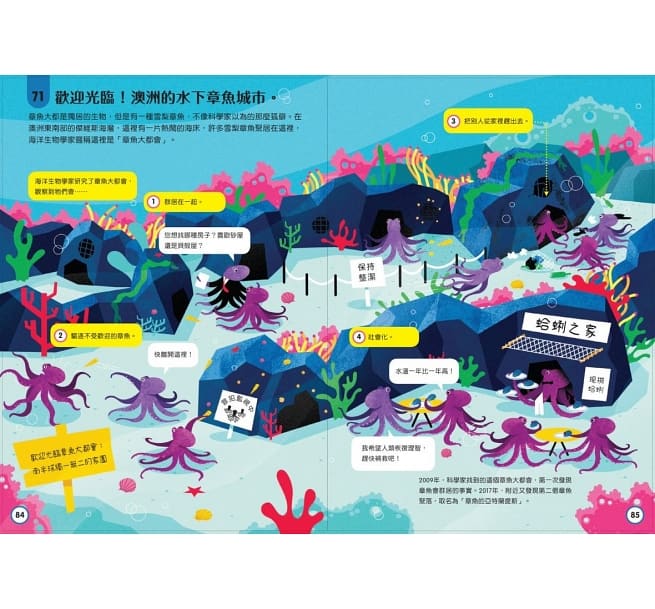 小小科學人：100海洋大發現兒童繪本內容