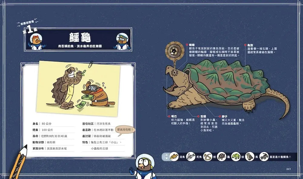 達克比與他的生物好朋友1：遠古與水中生物篇|跨時空的驚奇旅程，發現眾多生物不為人知的祕密【首刷贈品版】兒童繪本內容
