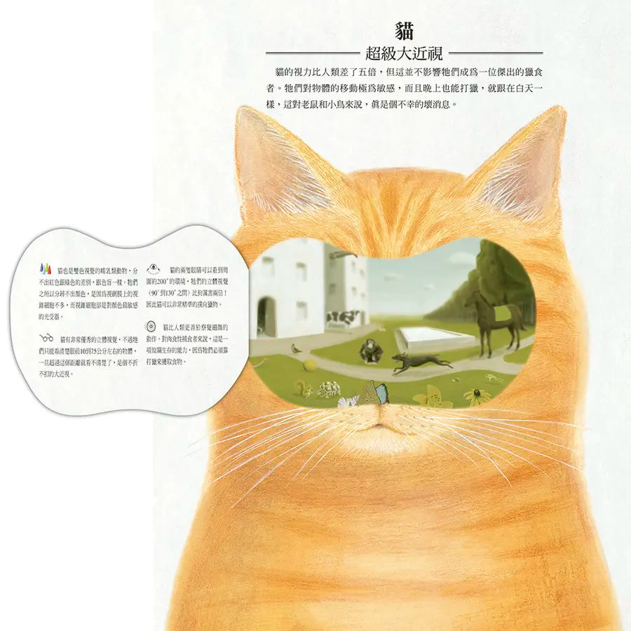 動物眼中的世界(典藏新裝版)兒童繪本內容