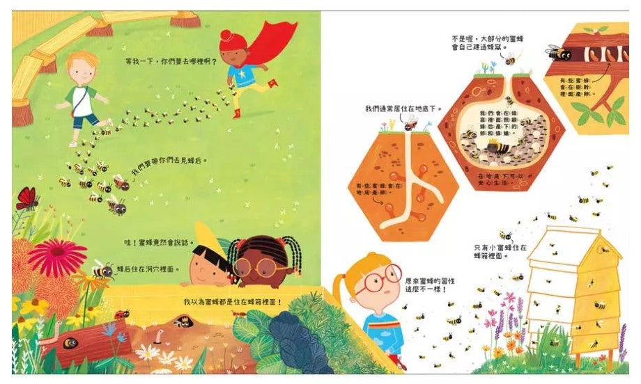 Can We Really Help 蜜蜂?兒童繪本內容