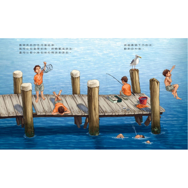 颶風來了!兒童繪本內容