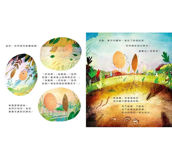 籽兒與鳥蛋兒童繪本內容