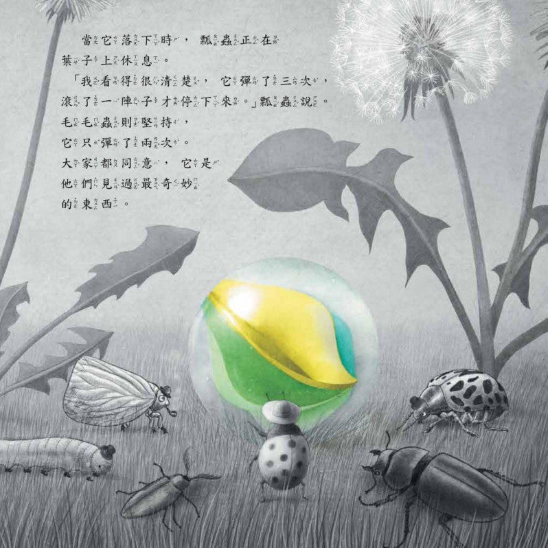 寶從天上來兒童繪本內容