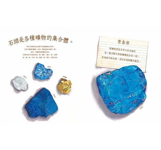 自然科核心素養最佳讀物 大自然繪本套書1【暢銷紀念版】(沉睡中的種子+活生生的石頭+害羞的甲蟲)兒童繪本內容