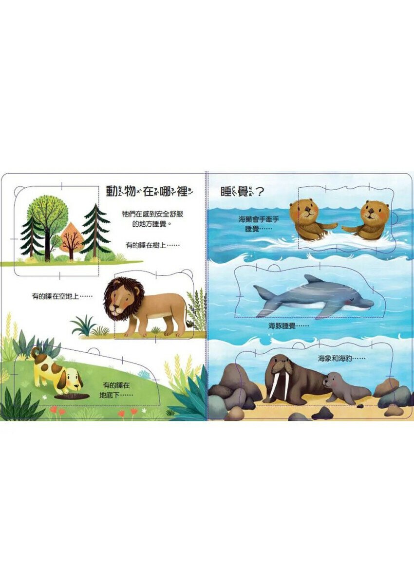 寶貝的第一個Q&A：為什麼要睡覺?兒童繪本內容