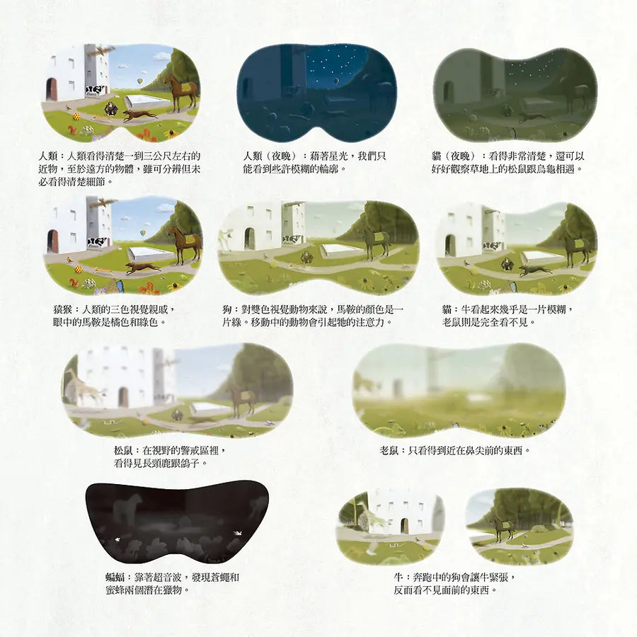 動物眼中的世界(典藏新裝版)兒童繪本內容