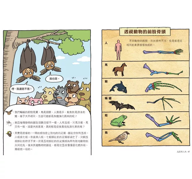 達克比辦案10：鬼屋美人魚：人類構造的演化與返祖現象兒童繪本內容