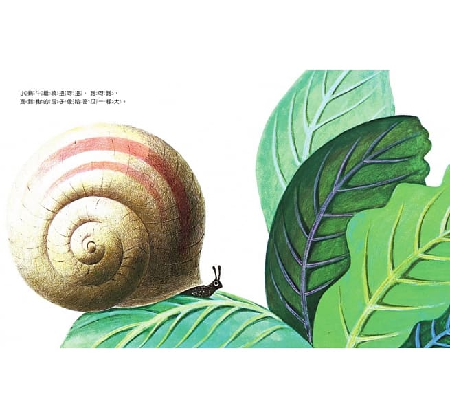 世界上最大的房子兒童繪本內容