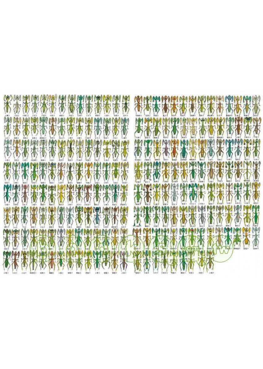 219隻螳螂：近藤薰美子自然繪本兒童繪本內容