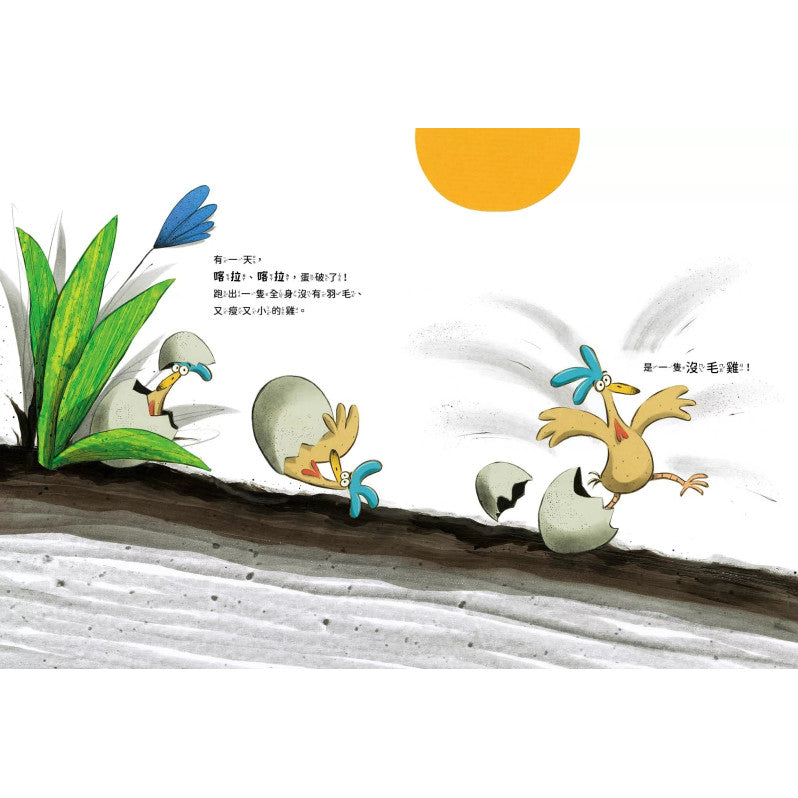 沒毛雞(陳致元作品集1)兒童繪本內容