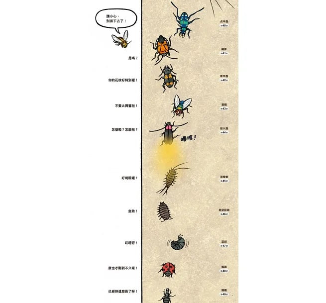 昆蟲在排什麼呢?(二版)兒童繪本內容