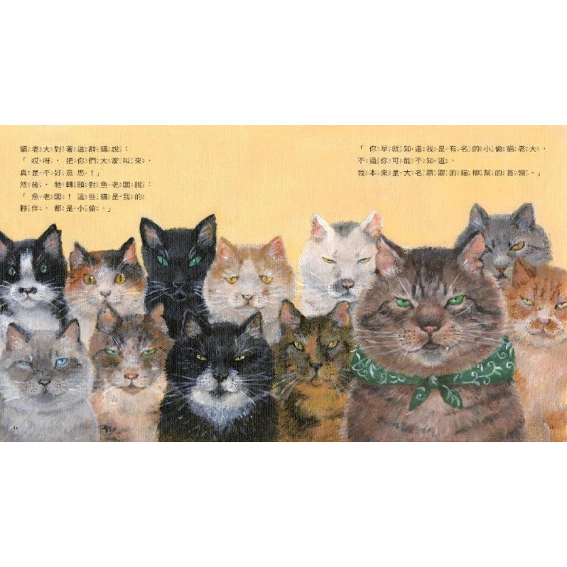 小偷貓老大兒童繪本內容