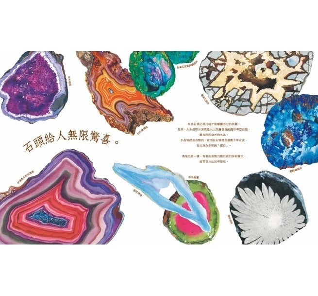 自然科核心素養最佳讀物 大自然繪本套書1【暢銷紀念版】(沉睡中的種子+活生生的石頭+害羞的甲蟲)兒童繪本內容