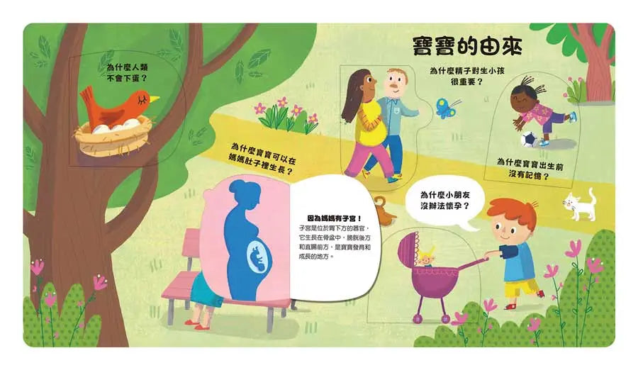 好想知道寶寶們的事!兒童繪本內容