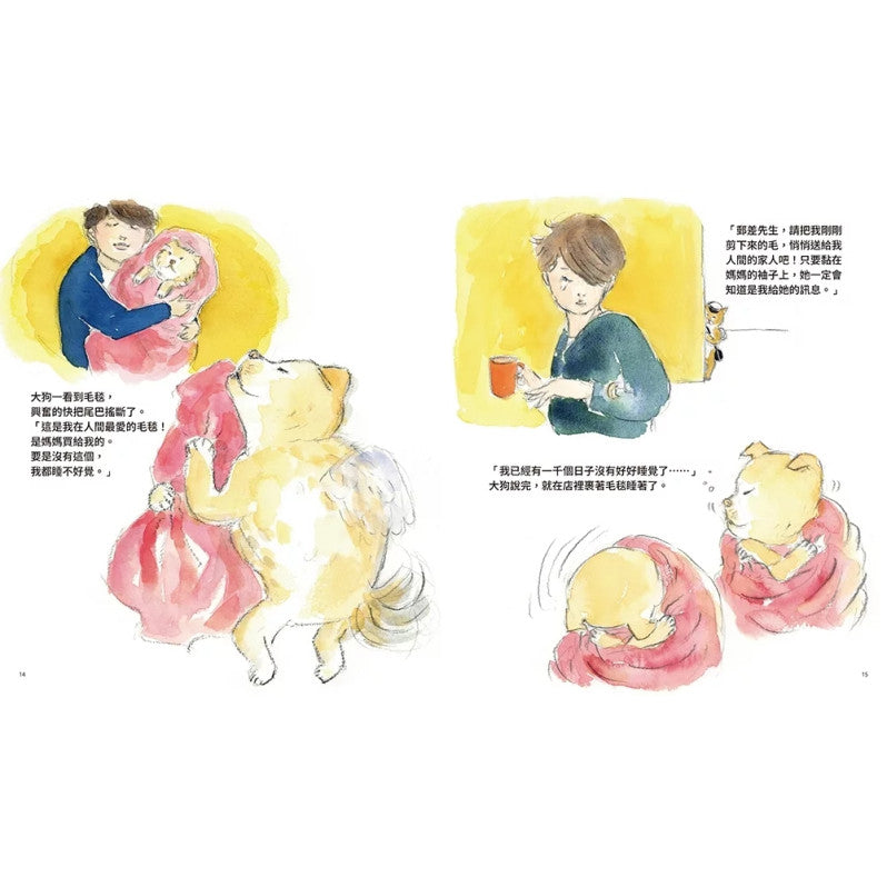 天上的貓：天空郵差兒童繪本內容