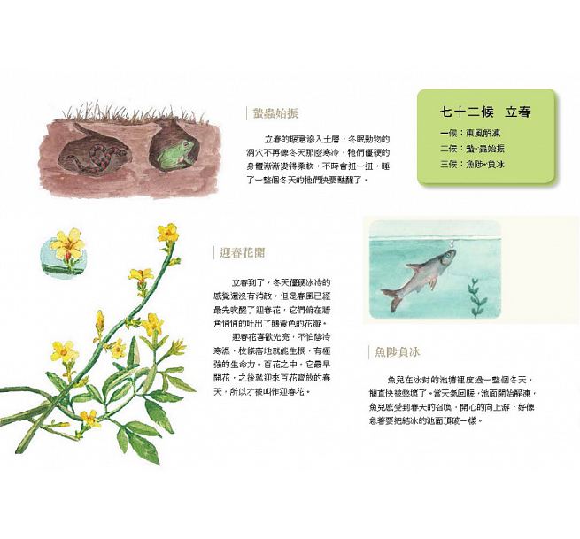 這就是二十四節氣：春夏秋冬兒童繪本內容