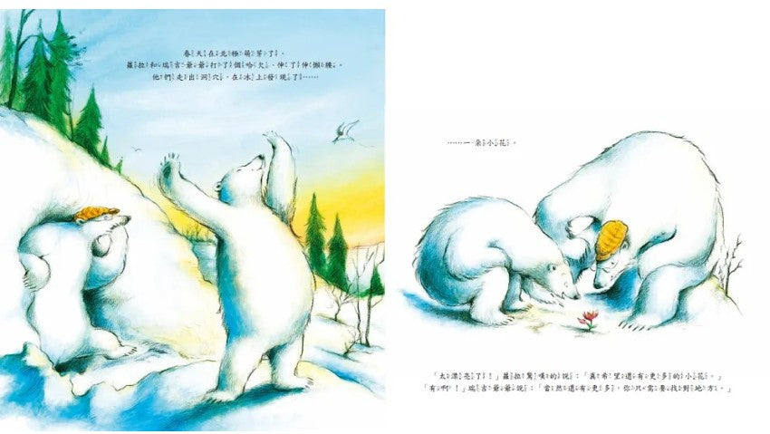 跟著北極熊植物獵人去探險兒童繪本內容