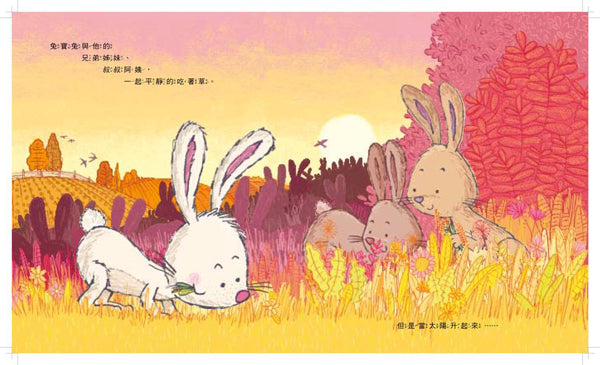 兔寶兔怎麼叫?兒童繪本內容