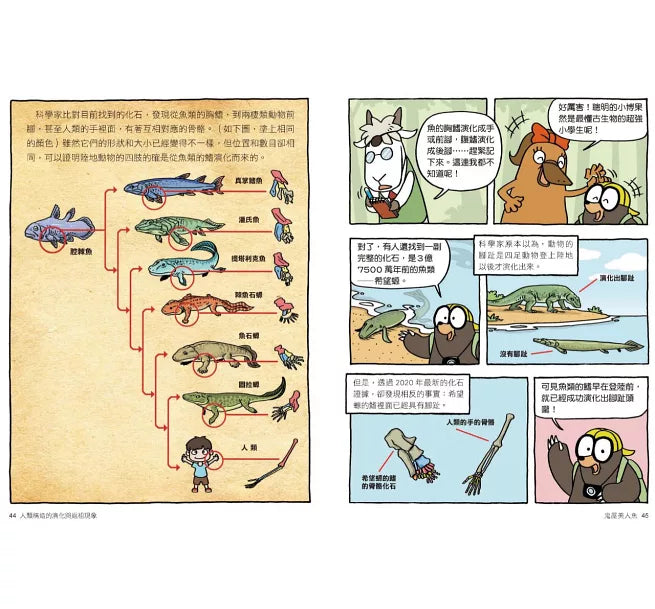 達克比辦案10：鬼屋美人魚：人類構造的演化與返祖現象兒童繪本內容