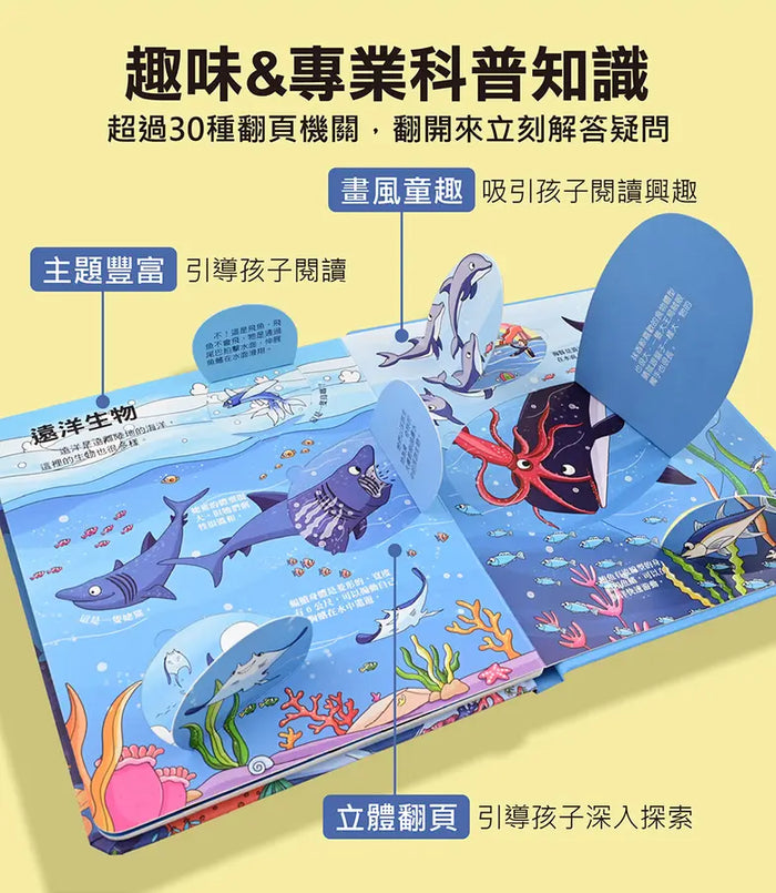 百問百答圖解翻翻書：揭祕昆蟲