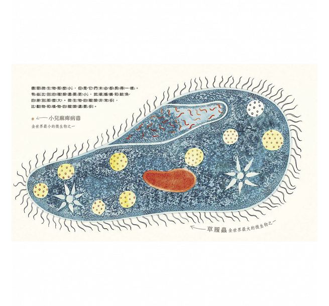 微生物：看不見的魔術師兒童繪本內容