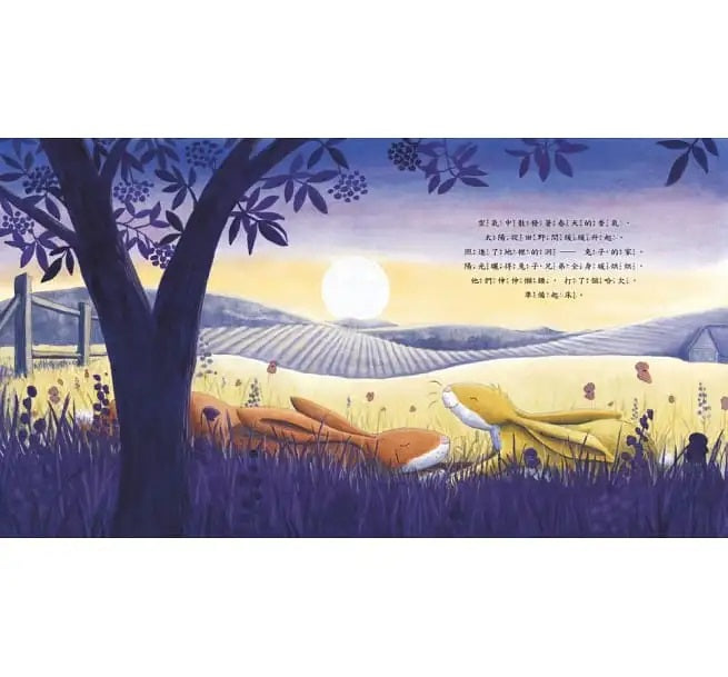 多幸運，有哥哥陪我長大兒童繪本內容