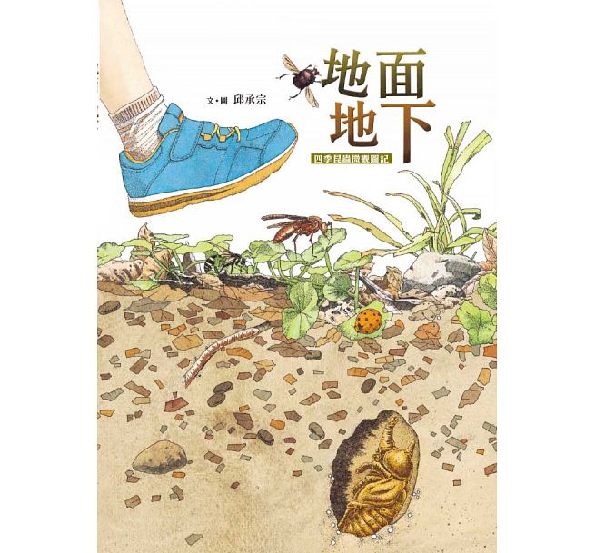 地面地下：四季昆蟲微觀圖記兒童繪本內容