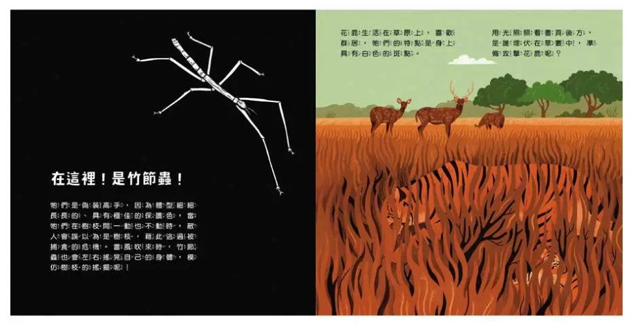 登登登!透光Show動物的偽裝術!兒童繪本內容