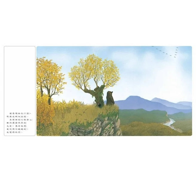 想當熊的熊兒童繪本內容