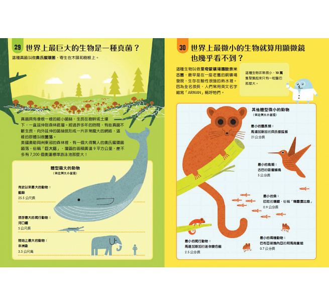 小小科學人：100科學大發現(新版)兒童繪本內容