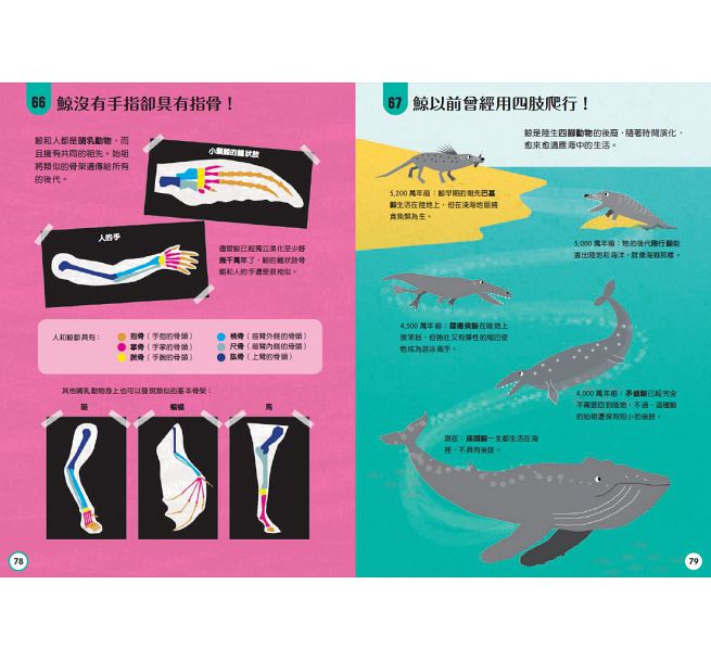 小小科學人：100科學大發現(新版)兒童繪本內容