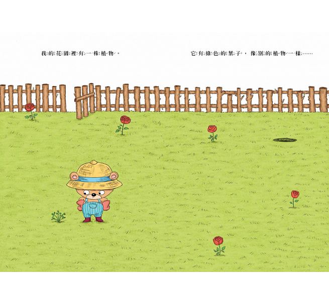 你為什麼不開花?兒童繪本內容