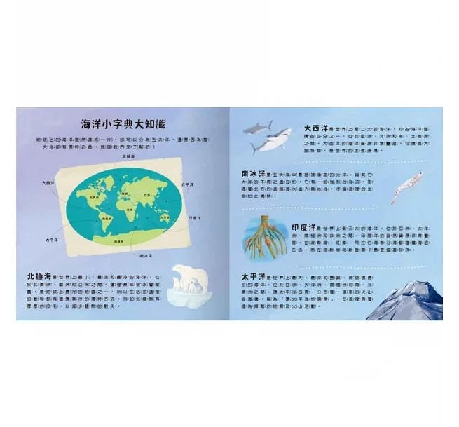 登登登!透光Show 海洋生物來囉!兒童繪本內容