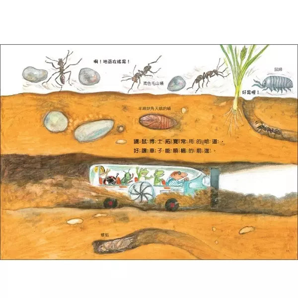 松岡達英雨蛙生態旅行團全集(4冊)兒童繪本內容