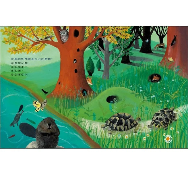 動物建築師兒童繪本內容