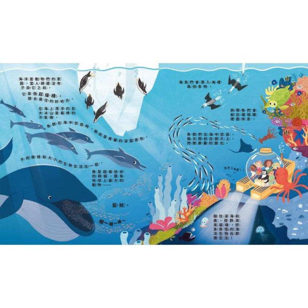 Can We Really Help 海豚?兒童繪本內容