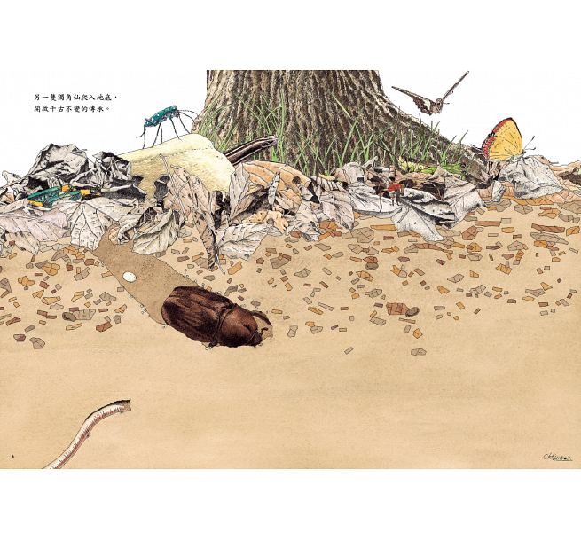 地面地下：四季昆蟲微觀圖記兒童繪本內容