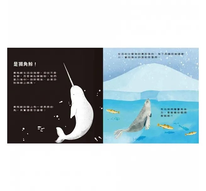 登登登!透光Show 海洋生物來囉!兒童繪本內容