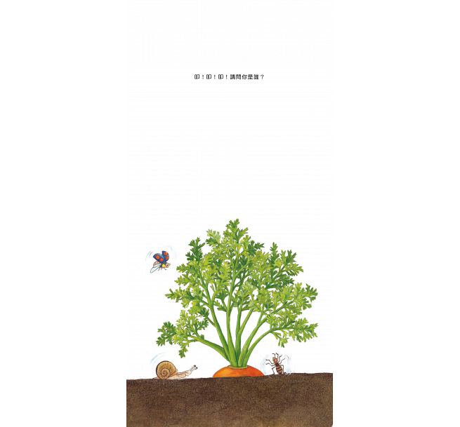 我的蔬菜寶寶(二版)兒童繪本內容