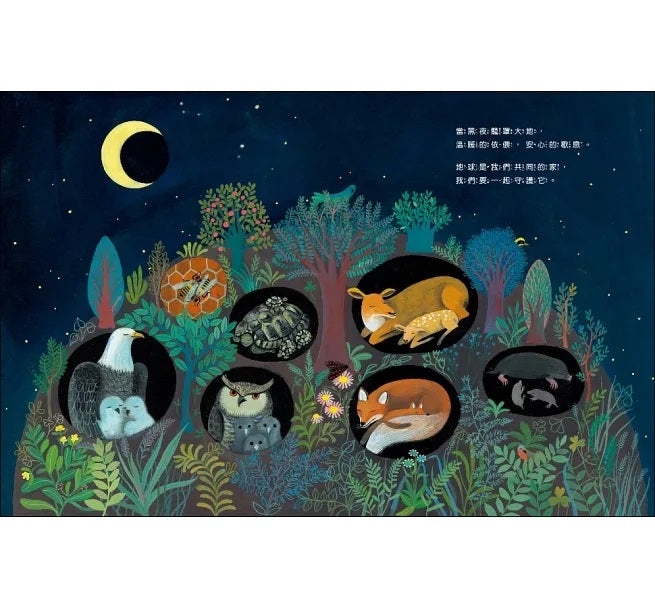 動物建築師兒童繪本內容