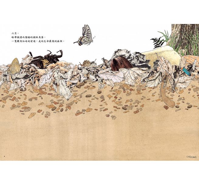 地面地下：四季昆蟲微觀圖記兒童繪本內容