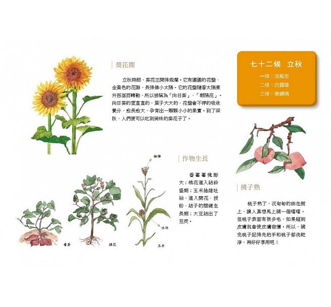 這就是二十四節氣：春夏秋冬兒童繪本內容
