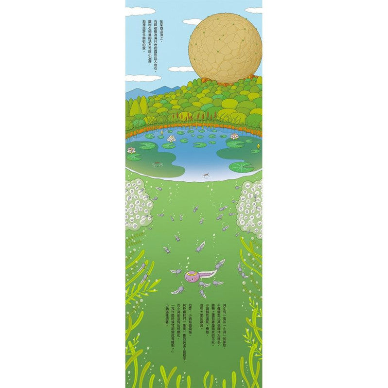 沼澤100層樓的家兒童繪本內容