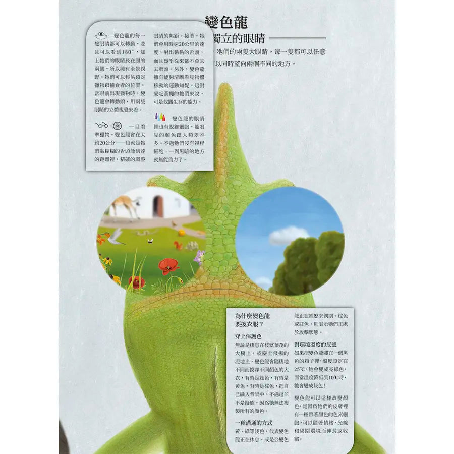 動物眼中的世界(典藏新裝版)兒童繪本內容