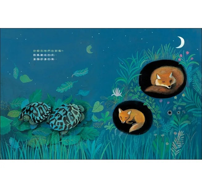 動物建築師兒童繪本內容