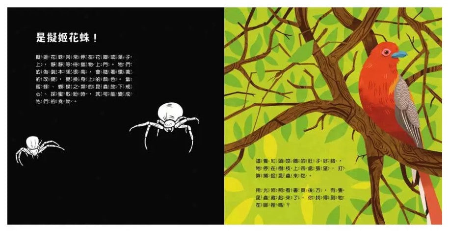 登登登!透光Show動物的偽裝術!兒童繪本內容