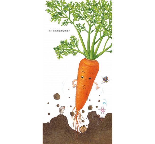 我的蔬菜寶寶(二版)兒童繪本內容