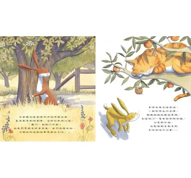 多幸運，有哥哥陪我長大兒童繪本內容