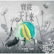 寶從天上來兒童繪本內容